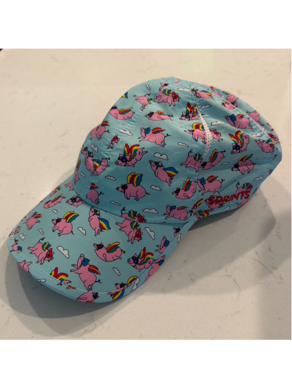 Sprints Flying Pigs Running Hat!